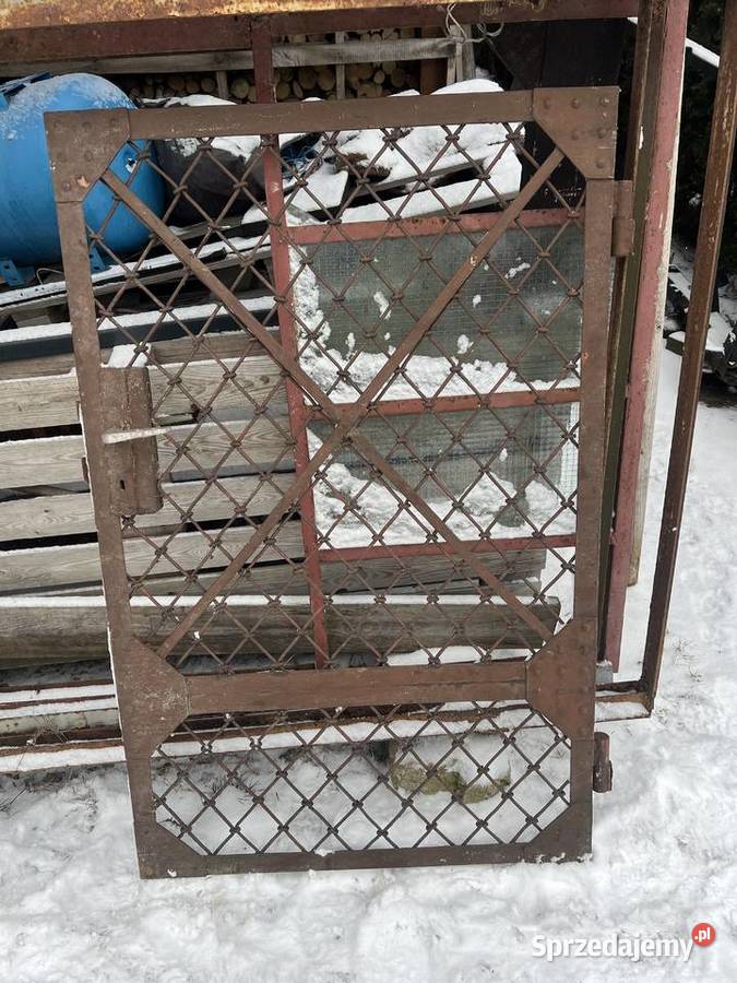 Brama z furtką Kurów