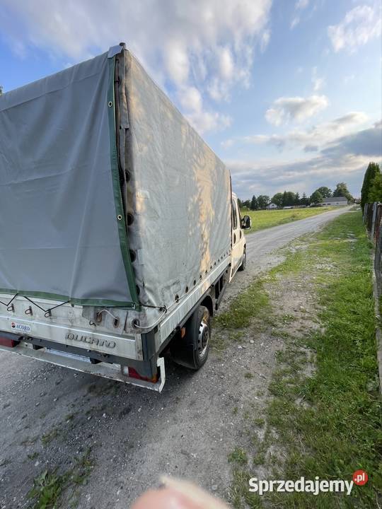Fiat ducato kujawsko-pomorskie Toruń
