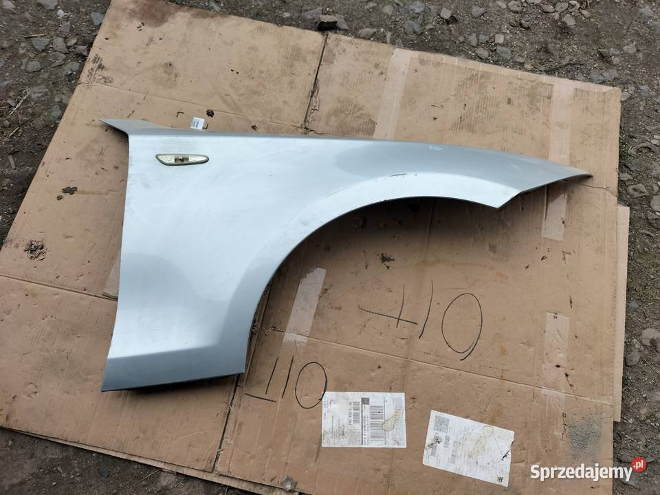 BMW 1 E87 BŁOTNIK PRAWY PRZÓD SIWY lubelskie Kamień-Kolonia