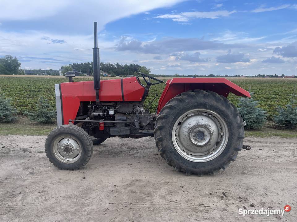 Sprzedam ciągnik Massey Ferguson 245 Ferguson mazowieckie Gąbin sprzedam