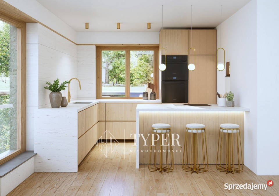 Nowoczesne Domy Jednorodzinne Nieciecza