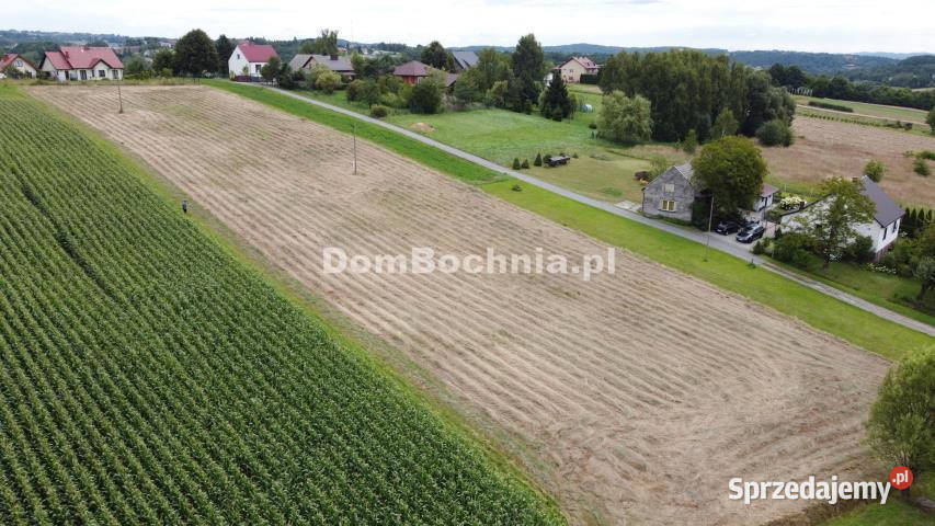 sprzedaży działki Bieńkowice 6000m małopolskie