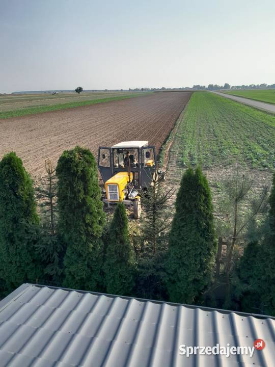 Pług Grudziądz Bełchatów