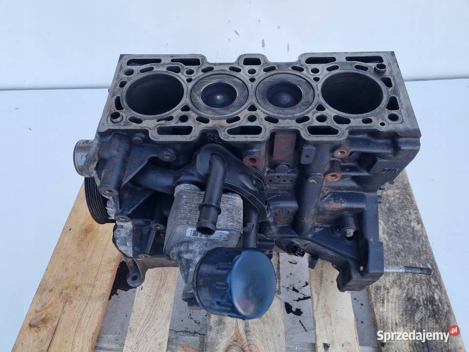 DÓŁ SILNIKA BLOK WAŁ TŁOK TŁOKI Renault Scenic Rudka