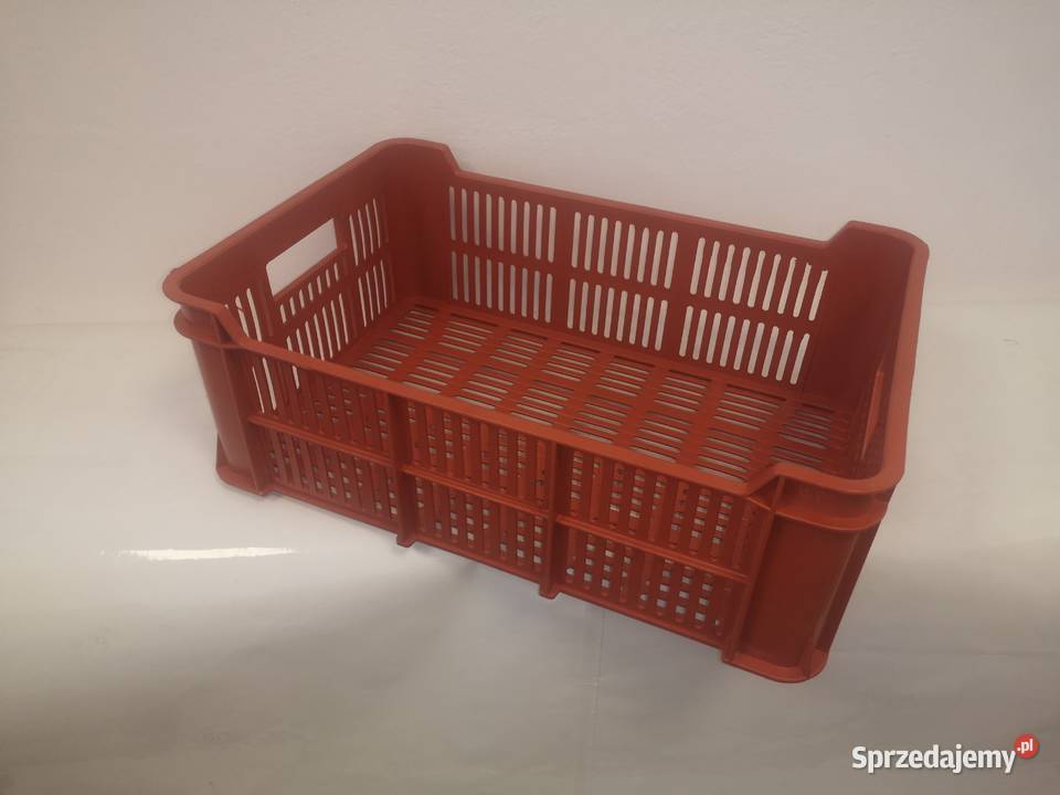 Skrzynka skrzynki plastikowe 15 produkcja czeska kujawsko-pomorskie sprzedam