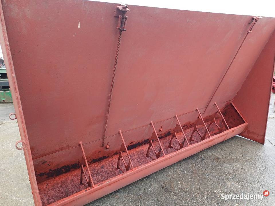 Karmik karmnik paśnik skrzynkowy świni trzody kujawsko-pomorskie Golub-Dobrzyń