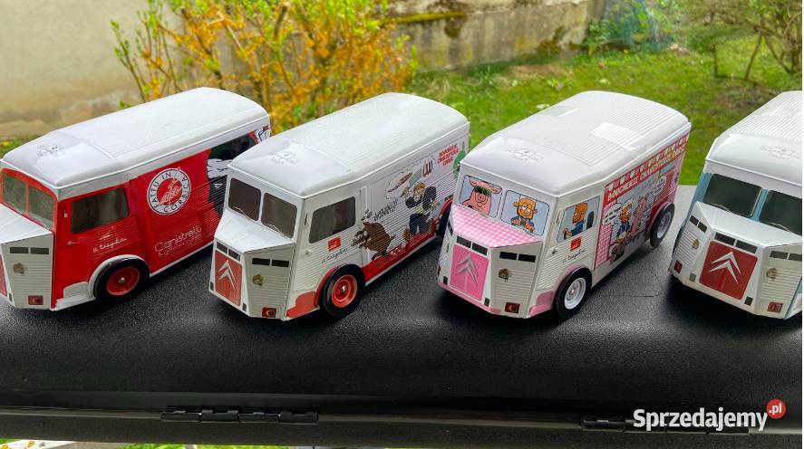 Citron HY małopolskie Olkusz