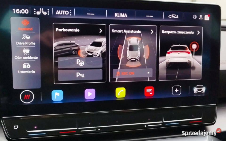 Cupra Formentor VZ5 25 TSI DSG 4x4 mat 4/5 Dąbrowa Górnicza