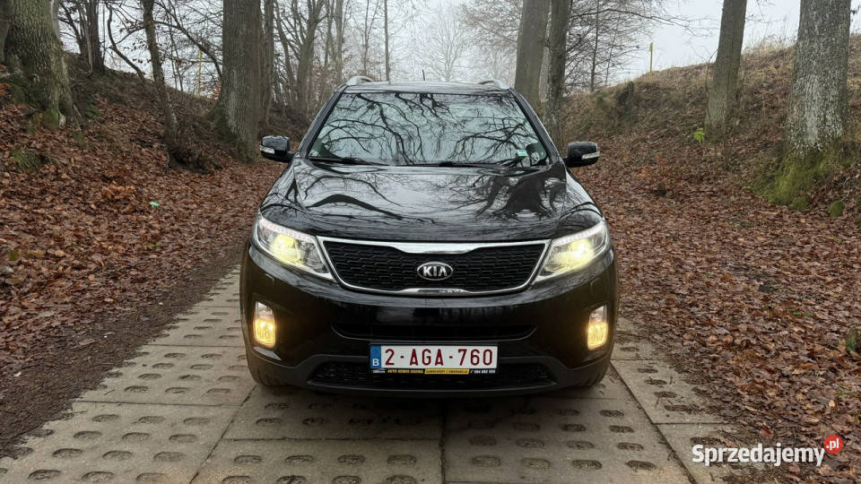 Kia Sorento 20crdi 185 ledy bi xenon skóry 202000km Sorento