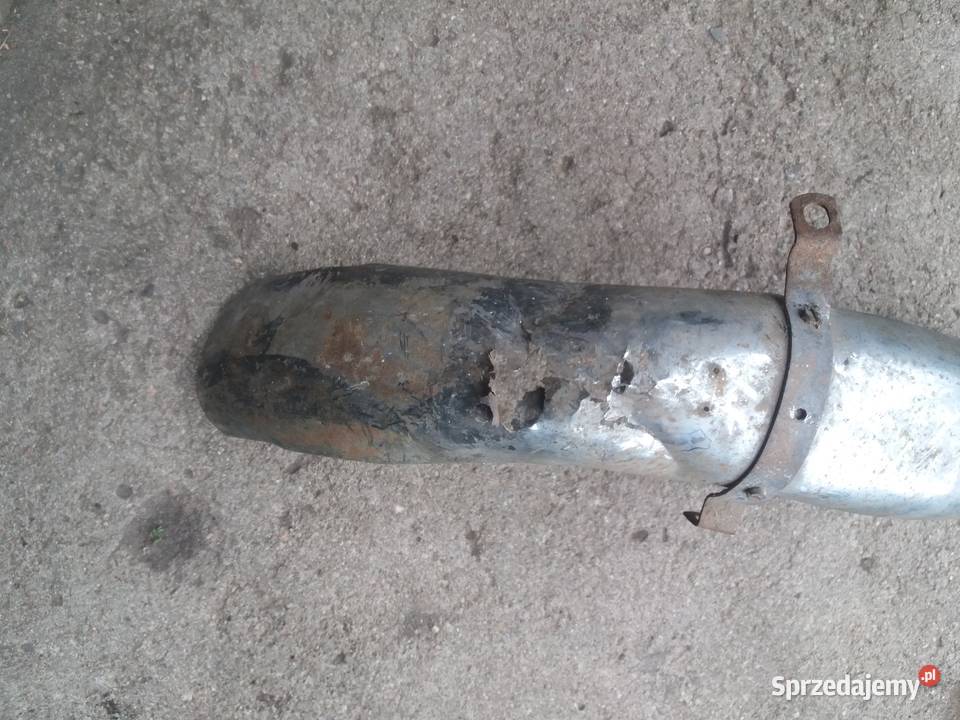 Błotniki Wsk sport lelek dudek kos bąk Lisew