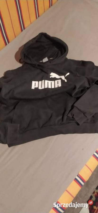 Bluza damska dresowa warmińsko-mazurskie Szczytno