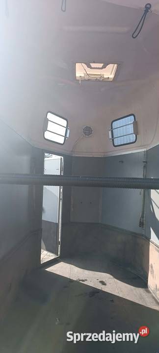 Przyczepka do koni 910 Orzysz sprzedam