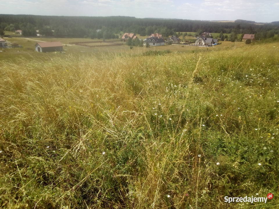 działki budowlane Sprzedaż Morawica sprzedam