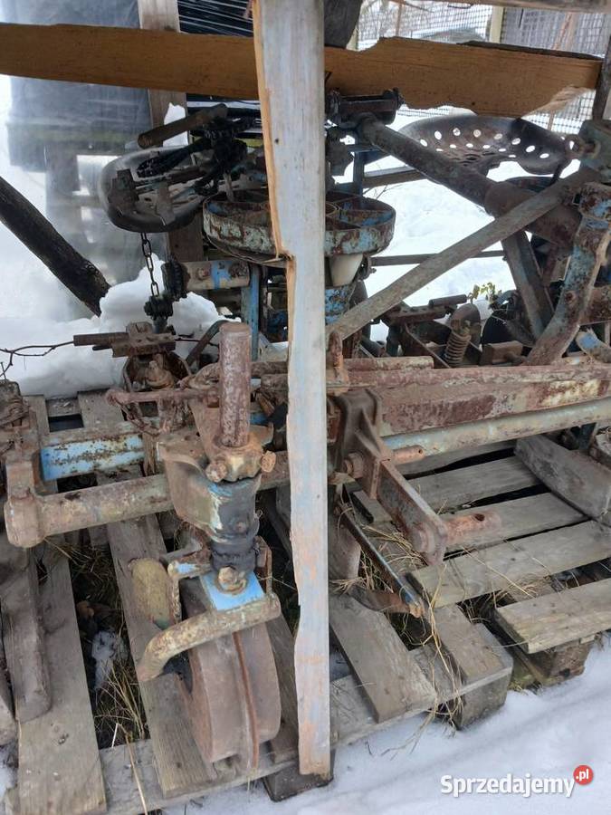 Sadzarka do ziemniaków Rybie