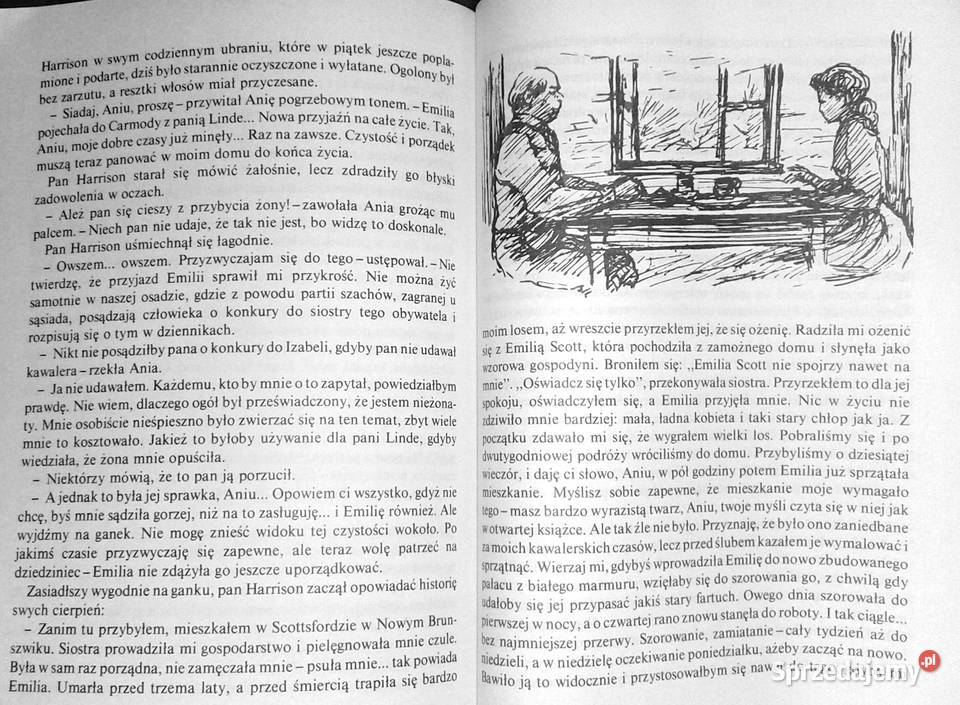 Ania z Avonlea Lucy Maud Montgomery lubelskie Chełm