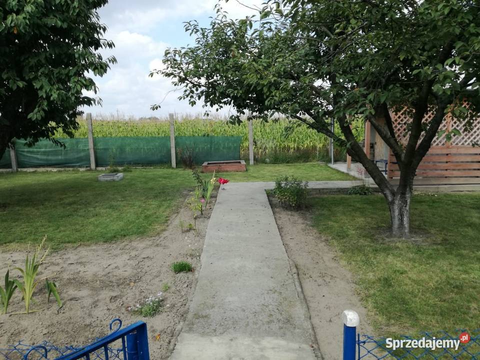 RAWICZ Ogródek działkowy Działka ogrodowa 300m2