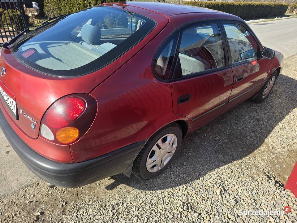 Toyota corolla 2001r 14b stan Corolla Bychawka Pierwsza sprzedam