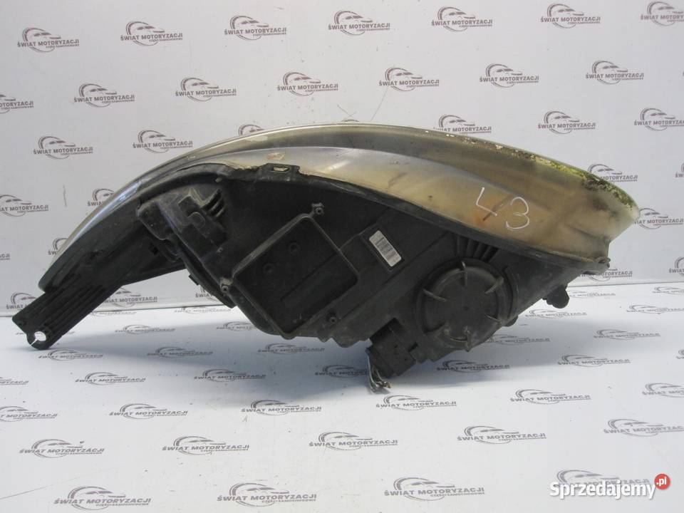 FORD FOCUS MK3 III lampa prawa przód świętokrzyskie