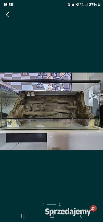 Terraria różne wymiary Chorzów sprzedam