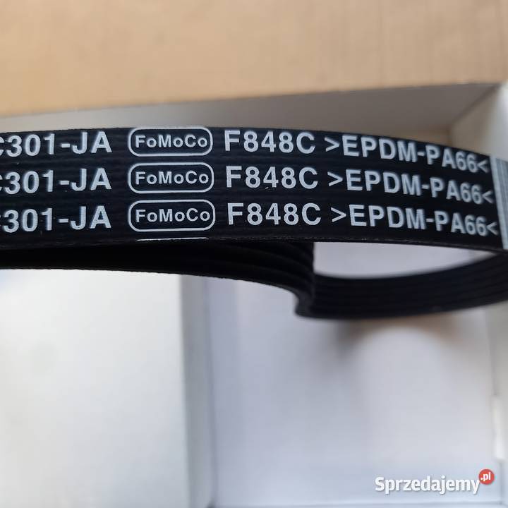 13542561708274 Pasek klinowy Ford FOCUSC Kraków sprzedam