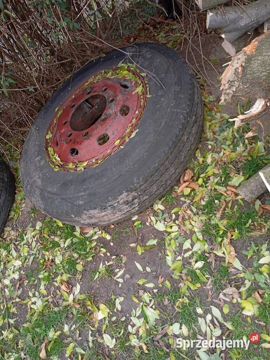 Koła przyczepy d50 Gać