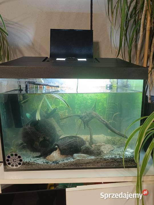Sprzedam akwarium świętokrzyskie Jędrzejów