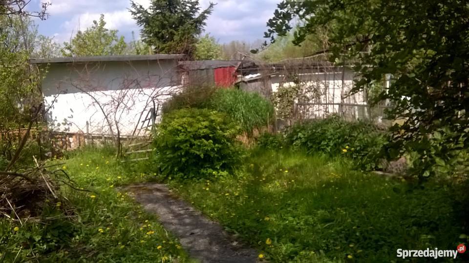 Działka rekreacyjna ROD Przybyszewskiego 460m2 Toruń sprzedam