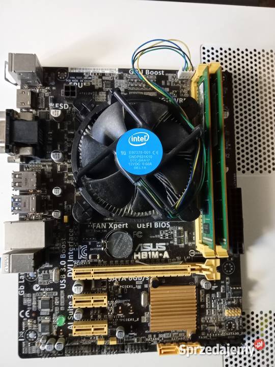 Asus H81MA Myślenice
