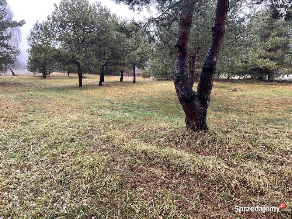 Dom na działce 96 arów mekintosz 10 210m lubelskie