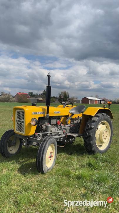 Ursus c328 Żytno