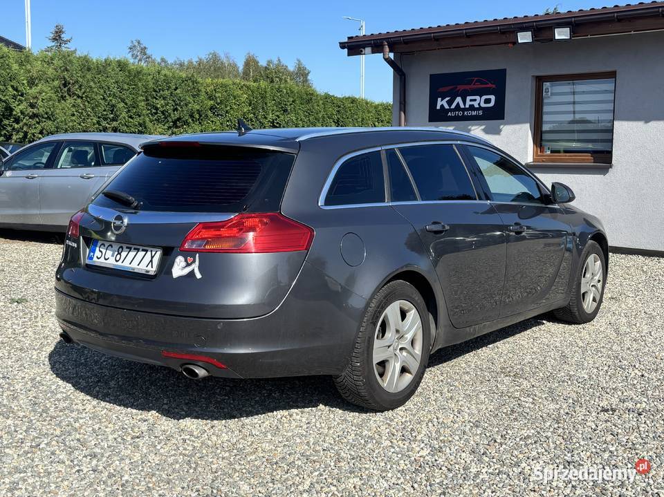 Opel Insignia Insignia Paniówki