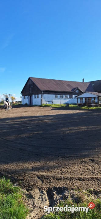 Sprzedam gospodarstwo rolne stajnię siedlisko 20000m2 Prudnik