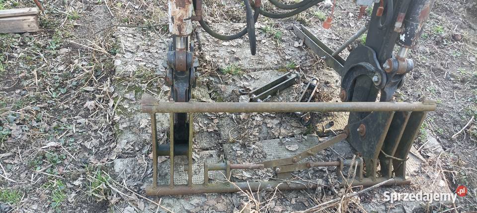 Renault Celtis z turem Puńców