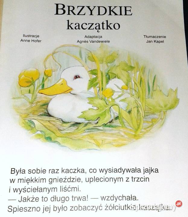 Brzydkie kaczatko Bajki na dobranoc Agnes Chełm