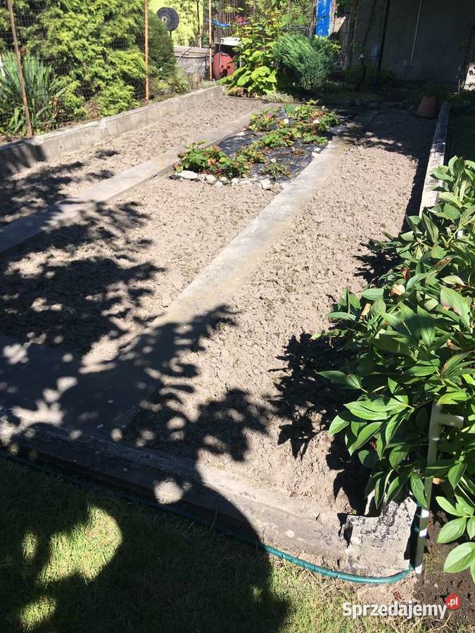 Działka rekreacyjna ROD witaminka Oświęcim Sprzedaż małopolskie Zaborze