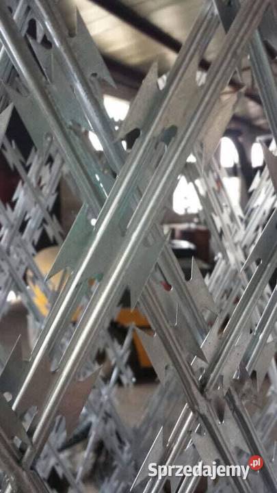 Siatka zgrzewana siatka concertina arkusz 21 m x Szczecin
