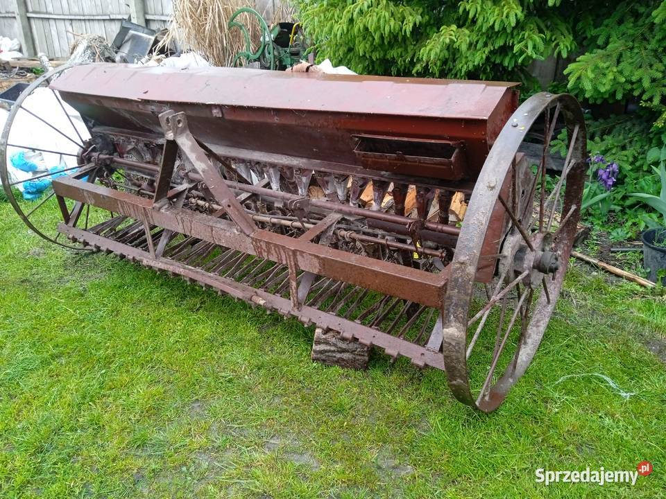 Siewnik lubelskie Hrubieszów