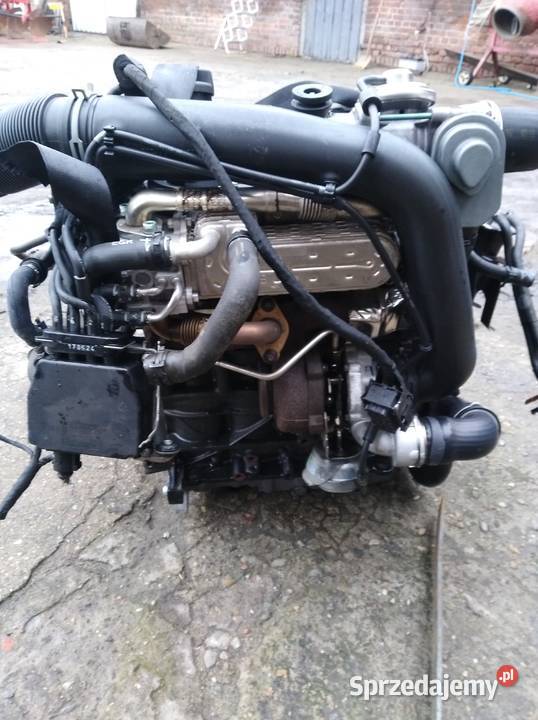 Silnik 19 tdi BKC BXE Touran Caddy Passat b6 1896cm3 Pakosław