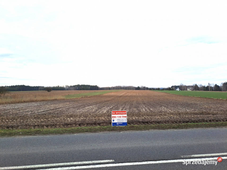 Działka pod zabudowę jednorodzinną bliźniaczą Żebraczka