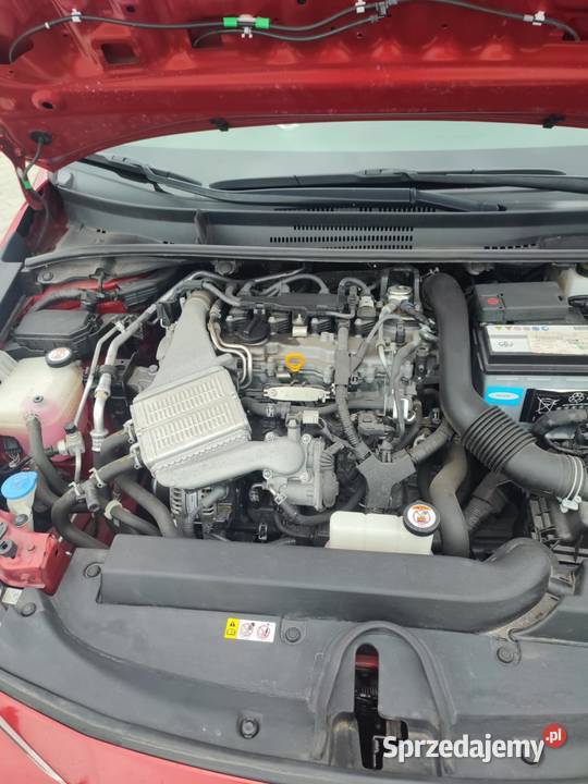 Toyota Corolla E21 mazowieckie Lipsko