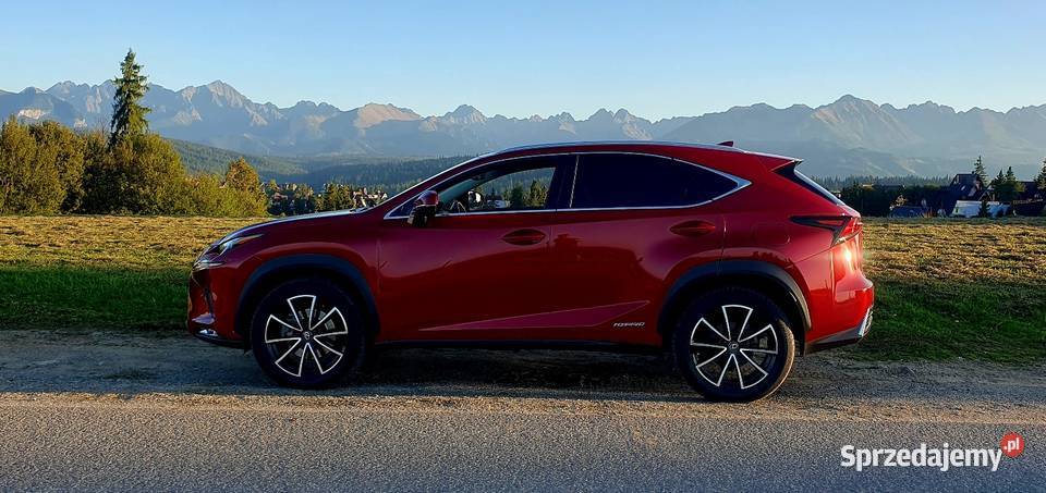 Piękny LEX PoLIFT Hybryda Gwarancja ASO wielofunkcyjna kierownica Nowy Sącz