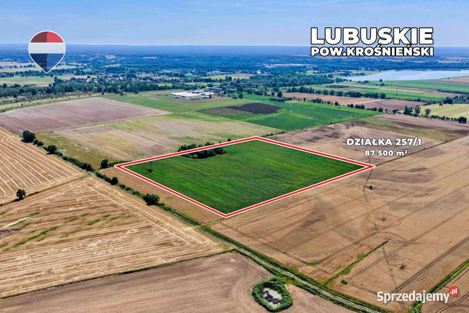 Na sprzedaż grunty orne RIIIa 875 ha
