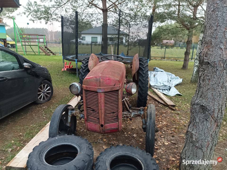 Ferguson Tea20 Białystok