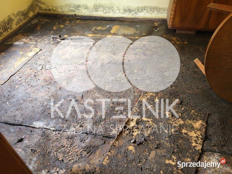 Sprzątanie zalaniach usuwanie szkód Łęczyca Osuszanie i odgrzybianie