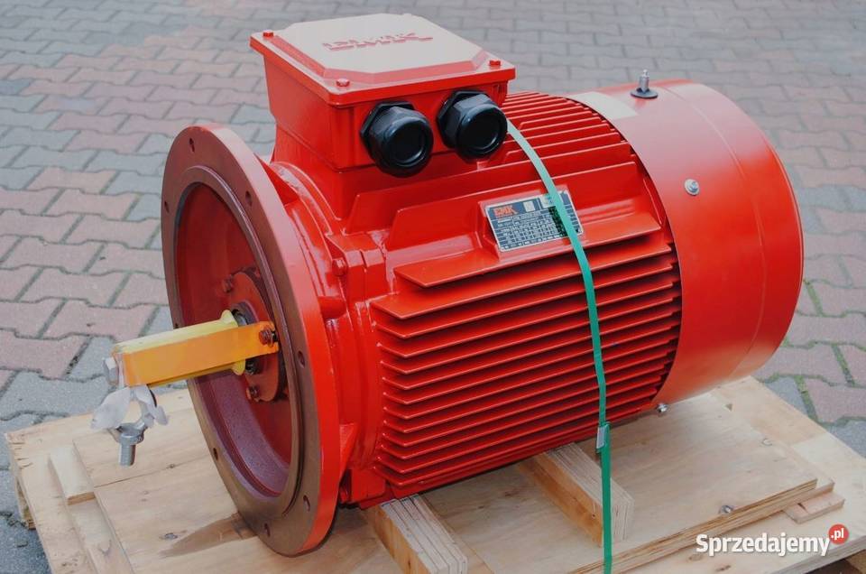 Silnik elektryczny kołnierzowy 55kw 2965obr Kargowa