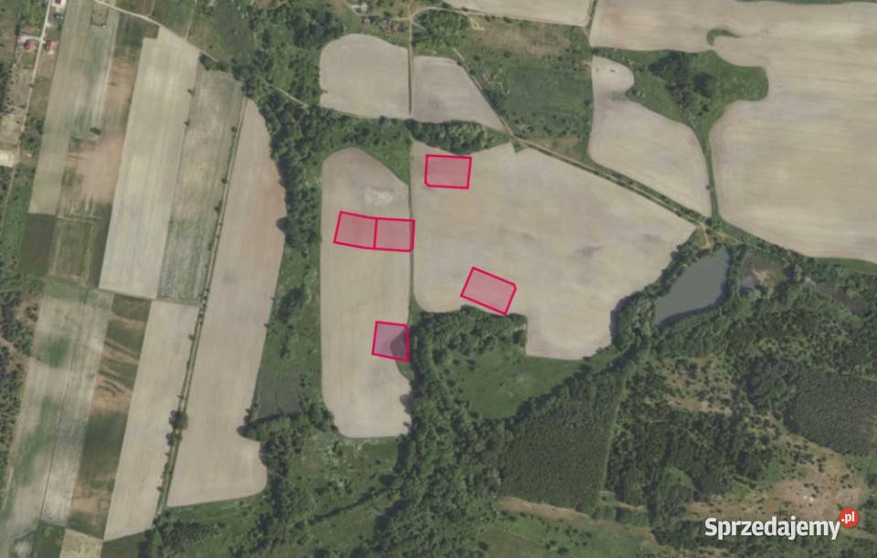 Działki 35620 w miejscowości Grabowno Wielkie sprzedam