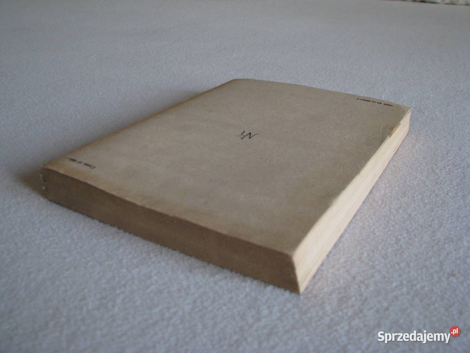 Panienka z okienka Deotyma Jadwiga Łuszczewska Brzegi