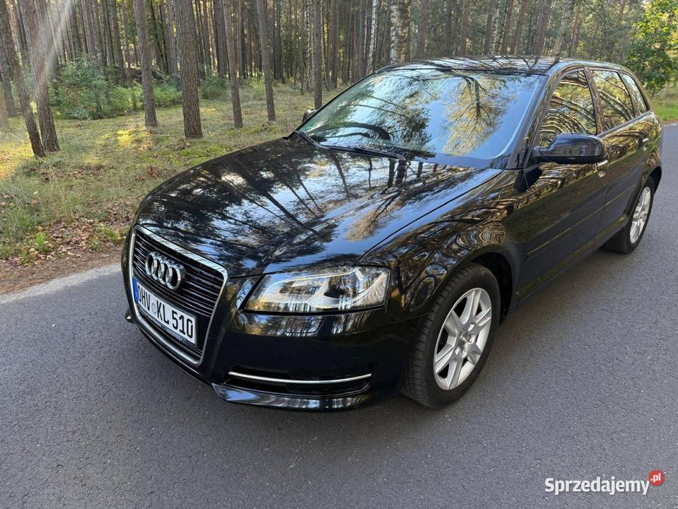Audi A3 20 TDI CR 2012r Tuchola