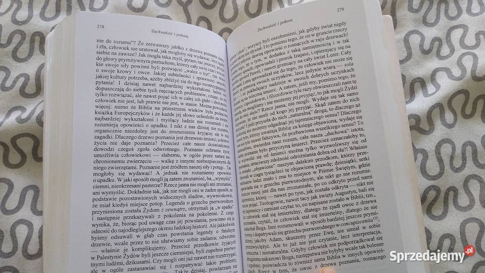 Na szalach Hioba duchowe wędrówki Lew Szestow tł sprzedam