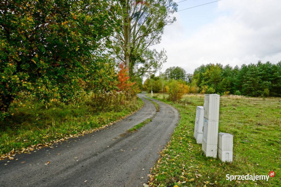Działka 2500m2 pod usługi Radziejowice Parcel 50m Radziejowice-Parcel